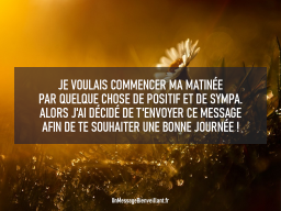 Bonne journée 08