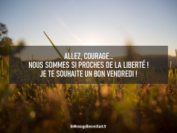 Bonne journée 29