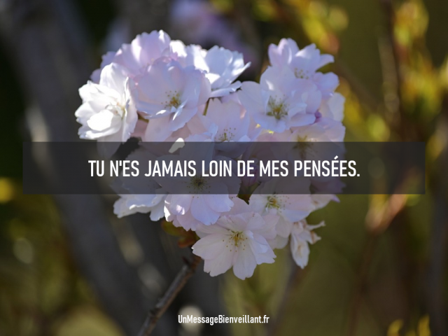 Remonter le moral 01