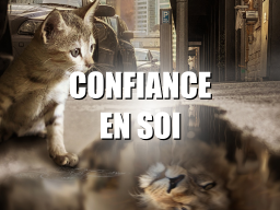 Confiance en soi