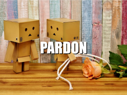 Pardon